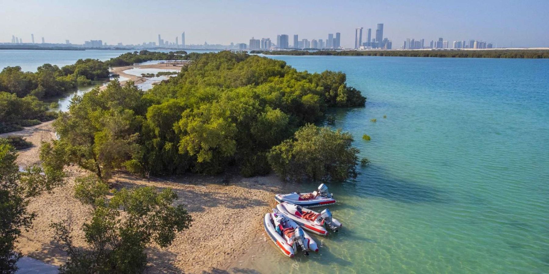 Eastern Mangroves